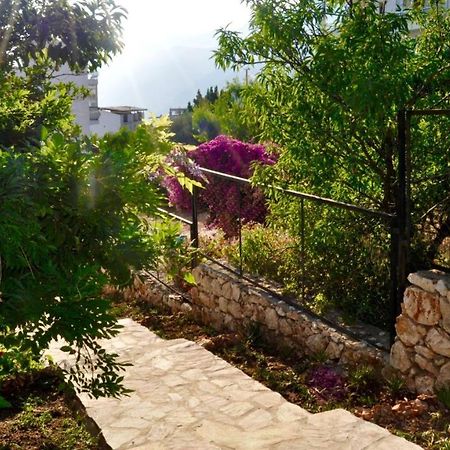 Eagle Nest Kaş Exterior photo